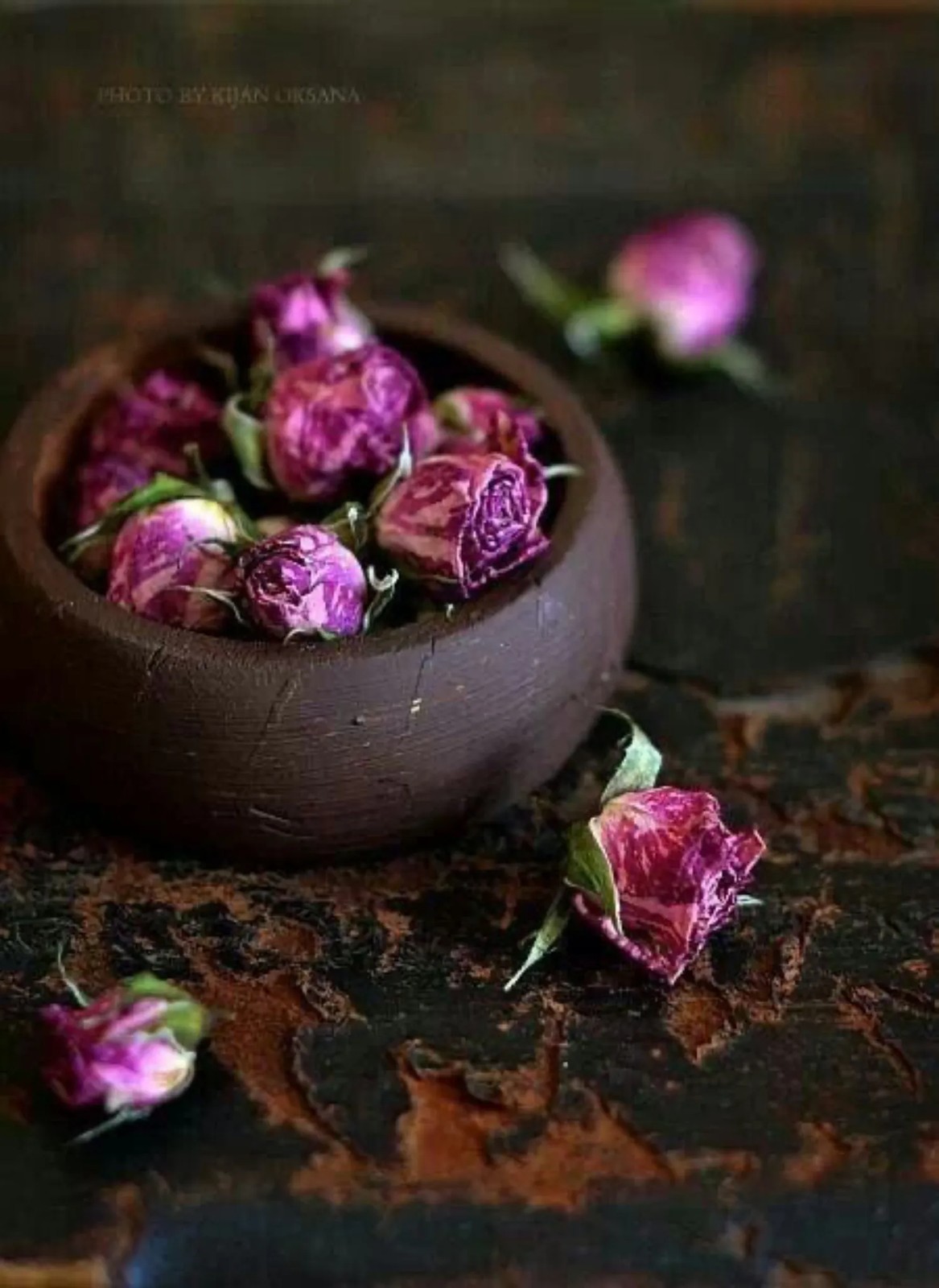 غنچه گل سرخ