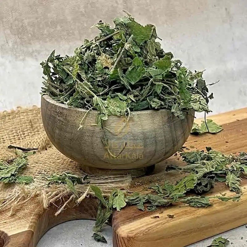 گزنه