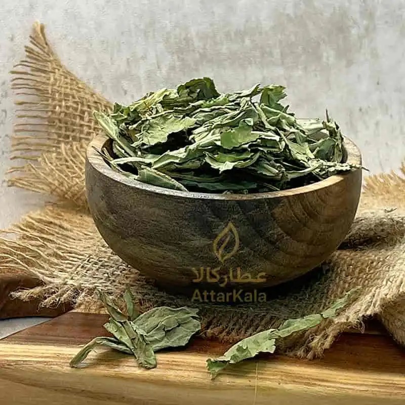 برگ کاسنی