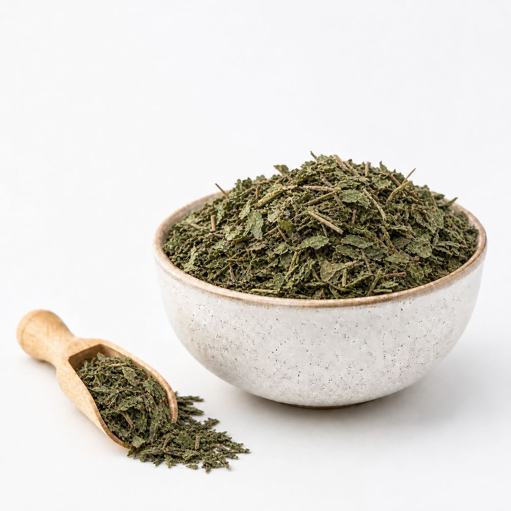 برگ گزنه اصل