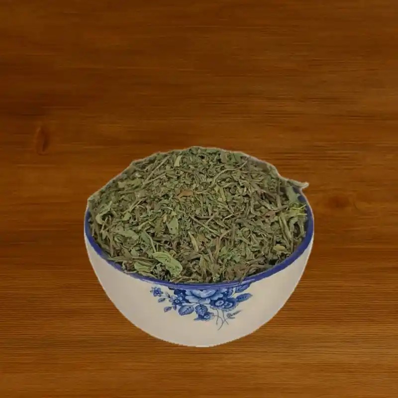 برگ کاسنی