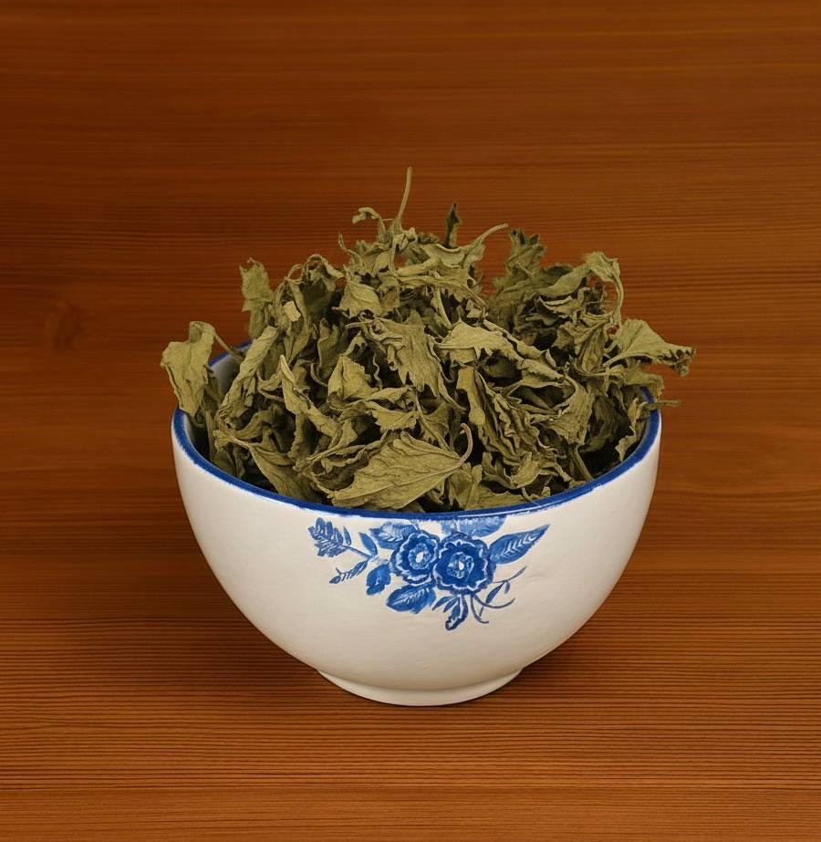 برگ گزنه