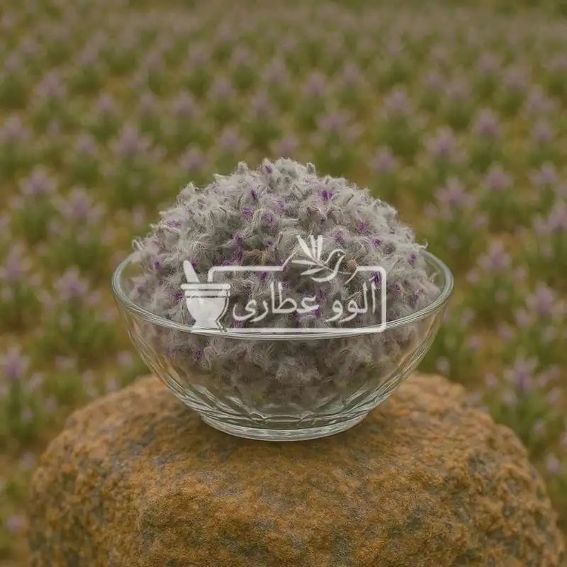 چای کوهی ممتاز