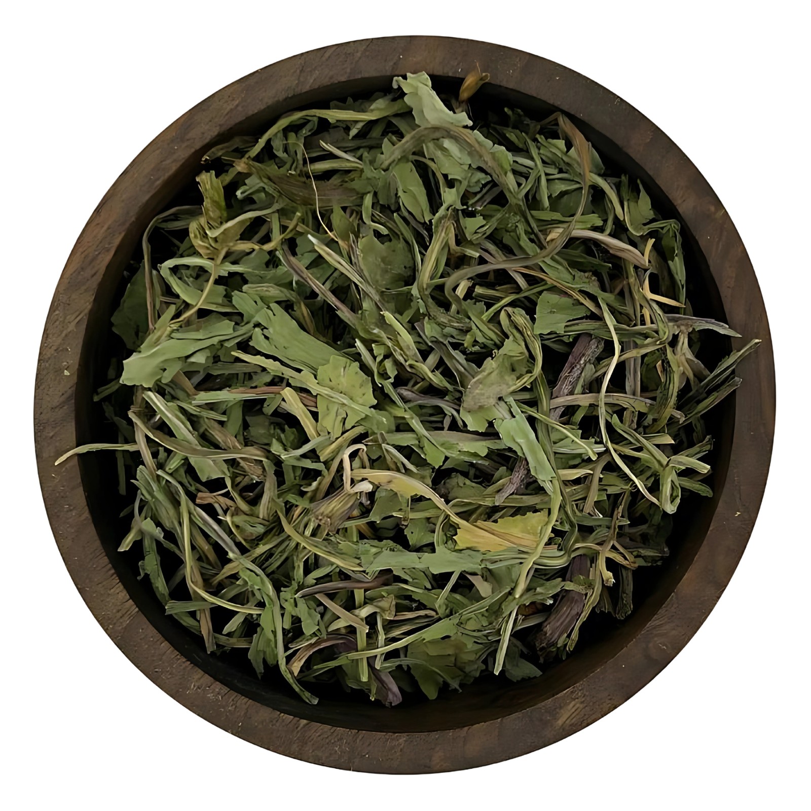 برگ کاسنی
