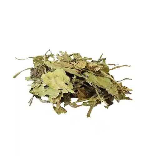 برگ کاسنی عمده 10 کیلوگرم