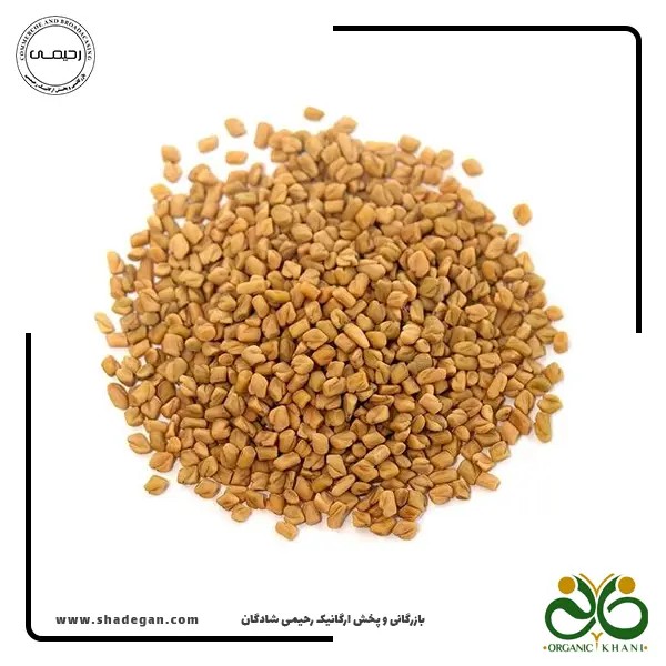 دانه شنبلیله