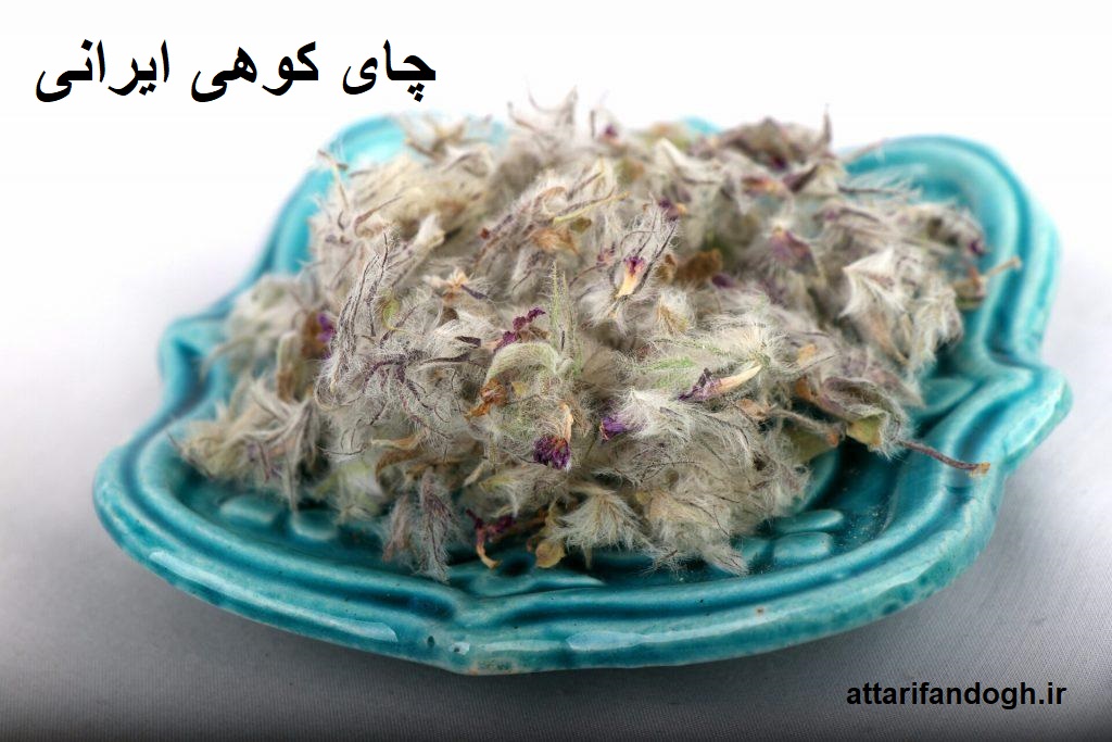 چای کوهی (چای چوپان،چای پشمی،توکلیجه)