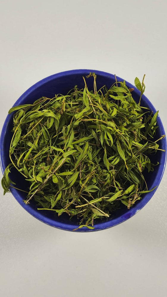 آویشن کوهی