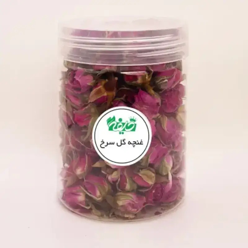 غنچه گل سرخ خلیفه