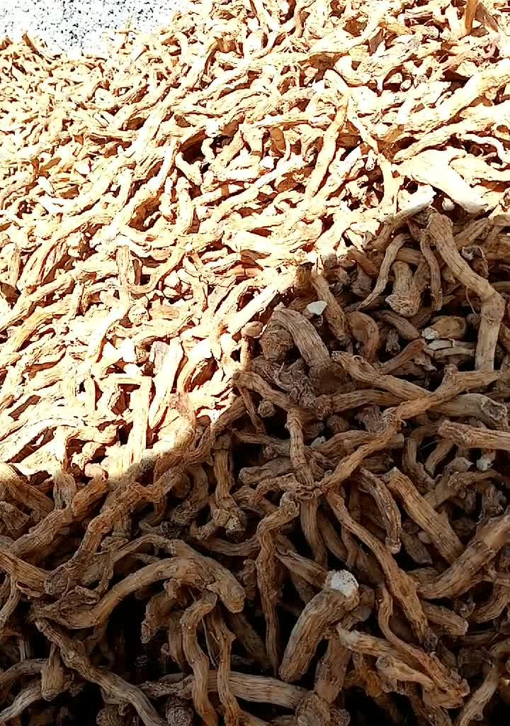 شقاقل خشک کوهستانی 100 گرمی