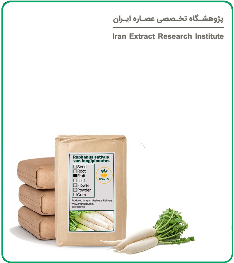 شقاقل خشک فله