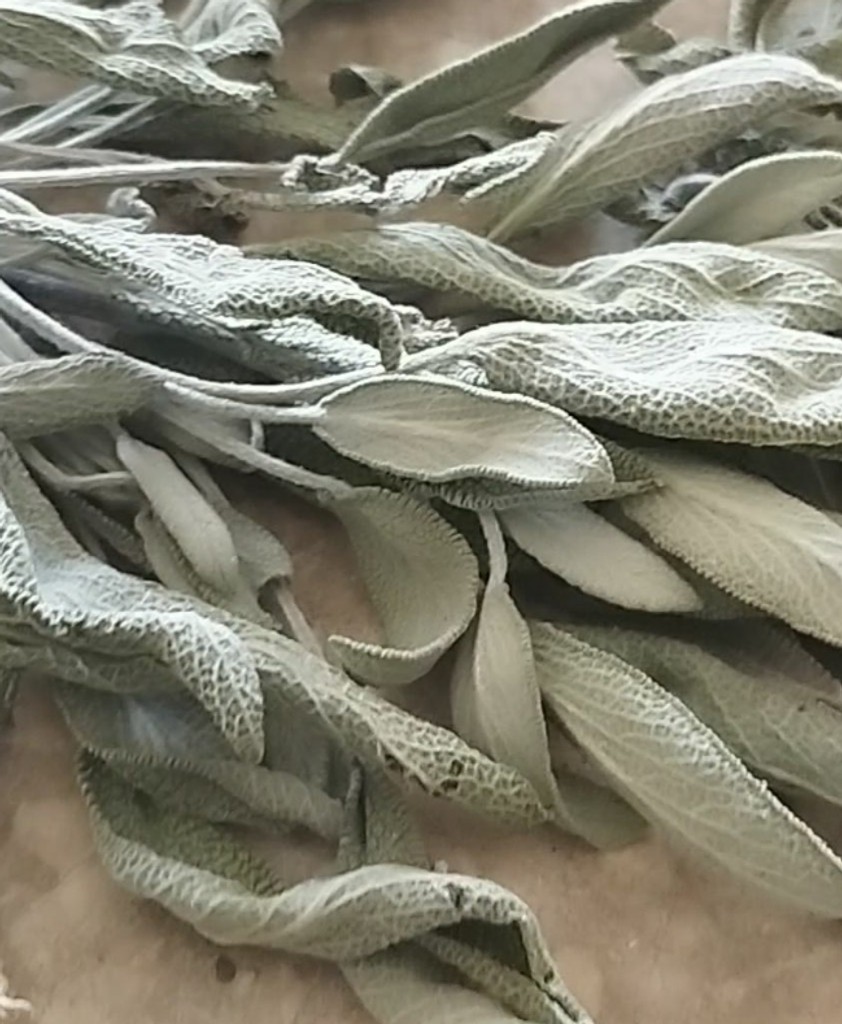 مریم گلی 200 گرمی خشک شده