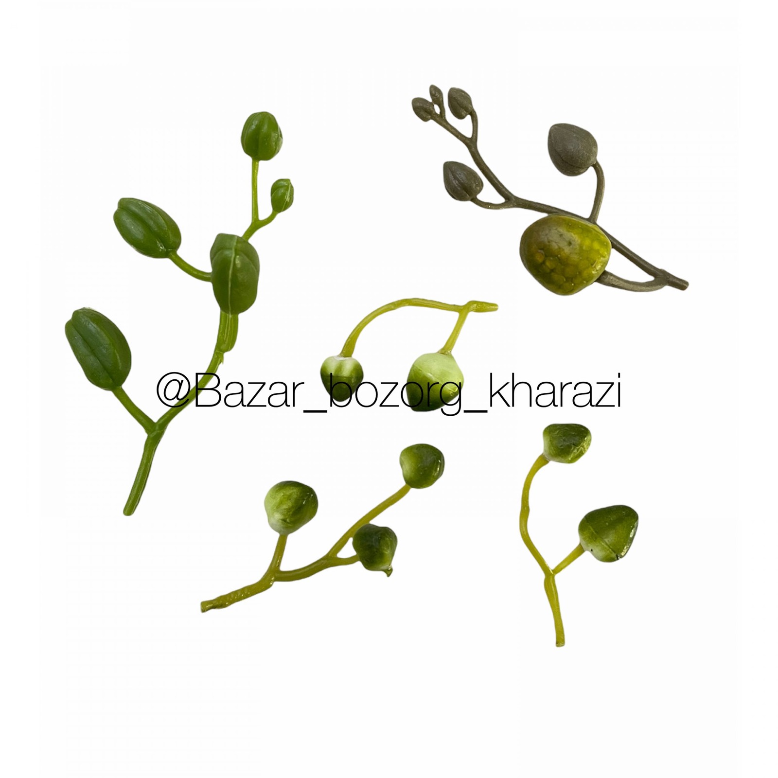 پک غنچه ارکیده