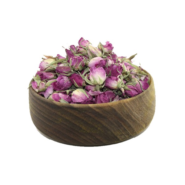 غنچه گل محمدی