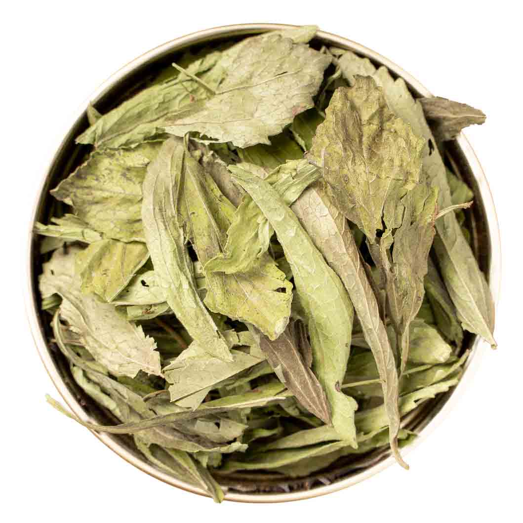 برگ استویا