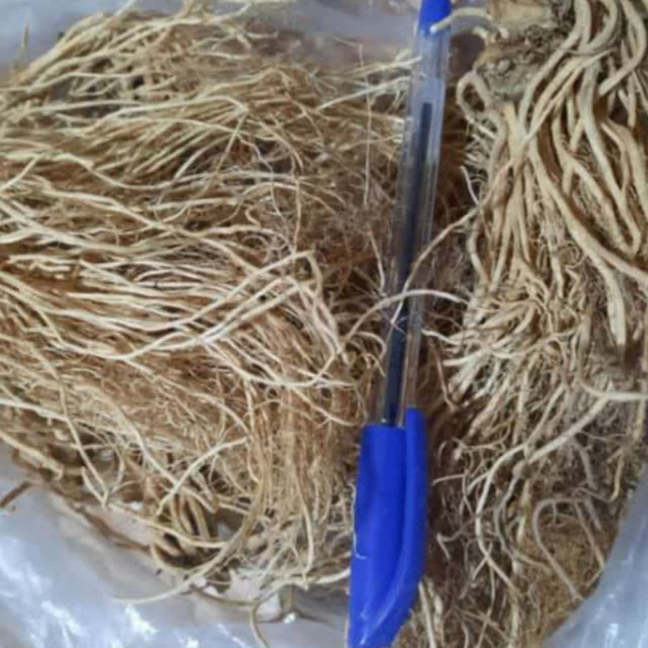 سنبل الطیب عمده