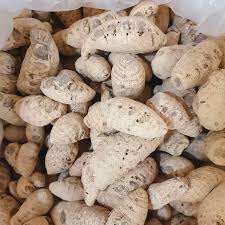 گیاه نرکچول (100گرمی )