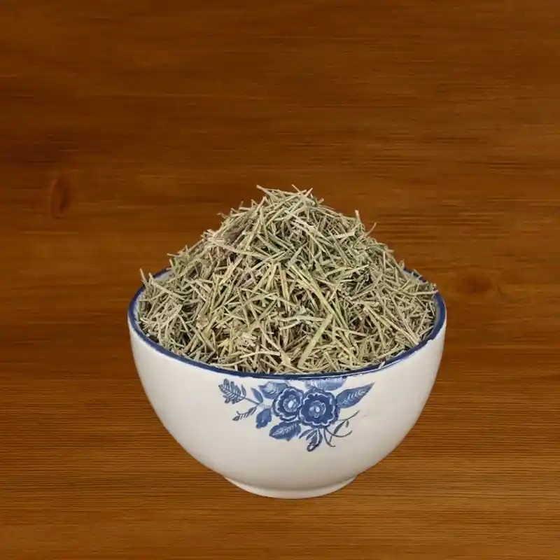 خارشتر گیاه