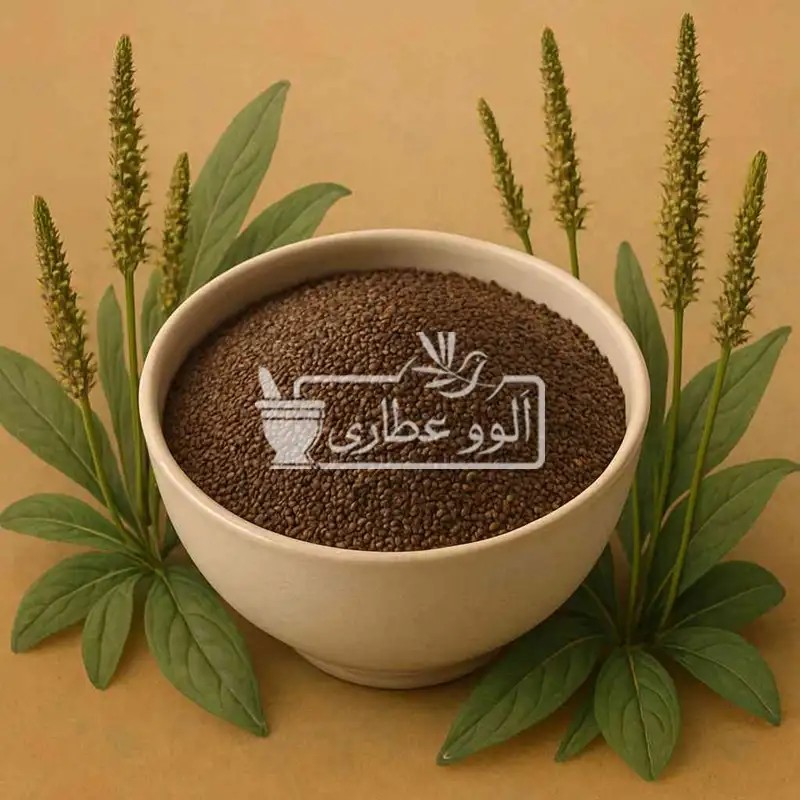 بارهنگ اعلا