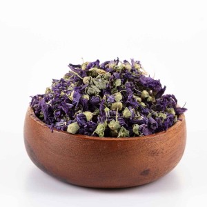 گل ختمی رنگی