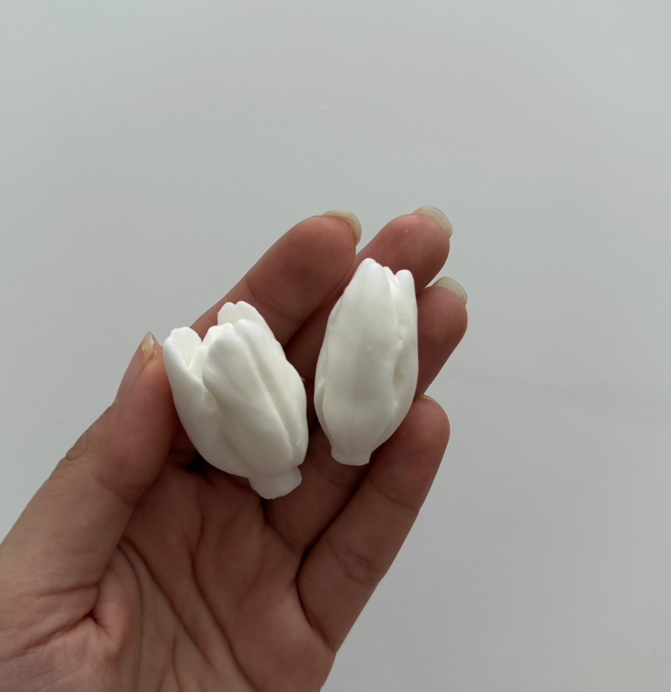 غنچه باز و بسته