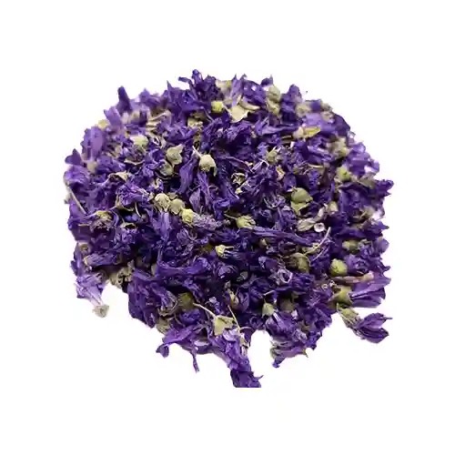 گل ختمی رنگی عمده 10 کیلوگرم