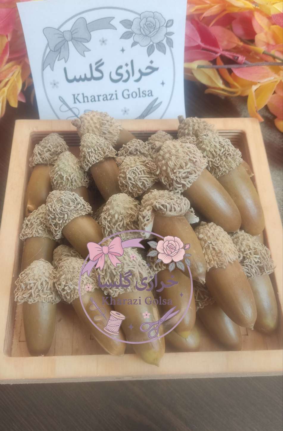 بلوط طبیعی تزئینی