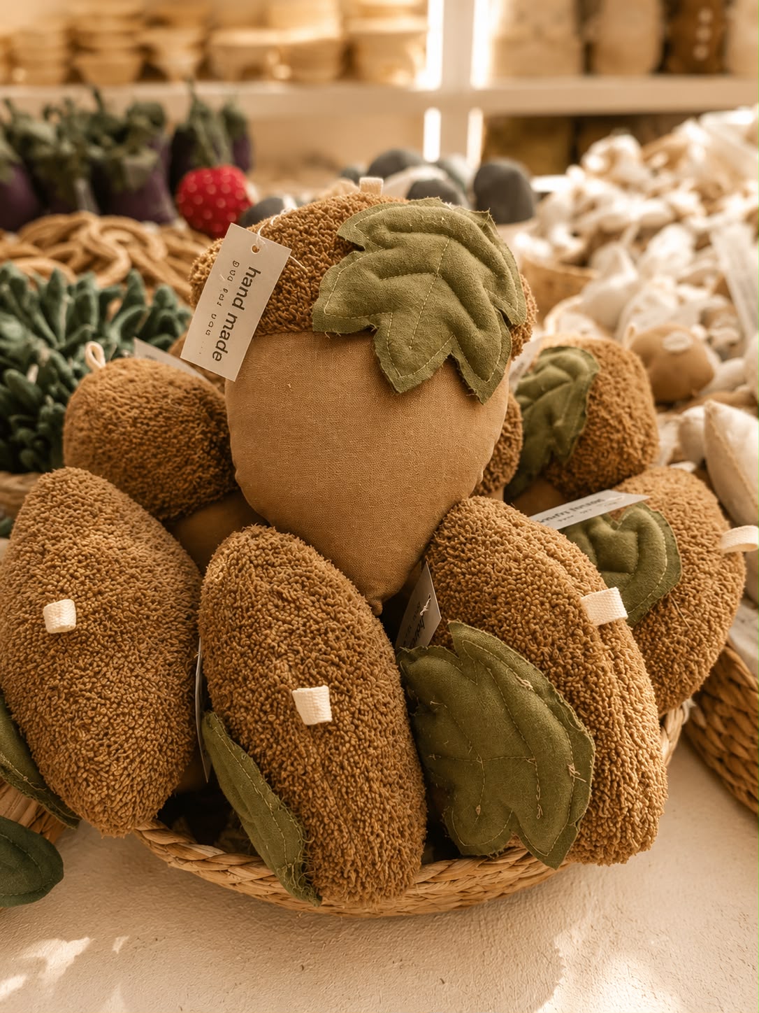 بلوط پارچه ای