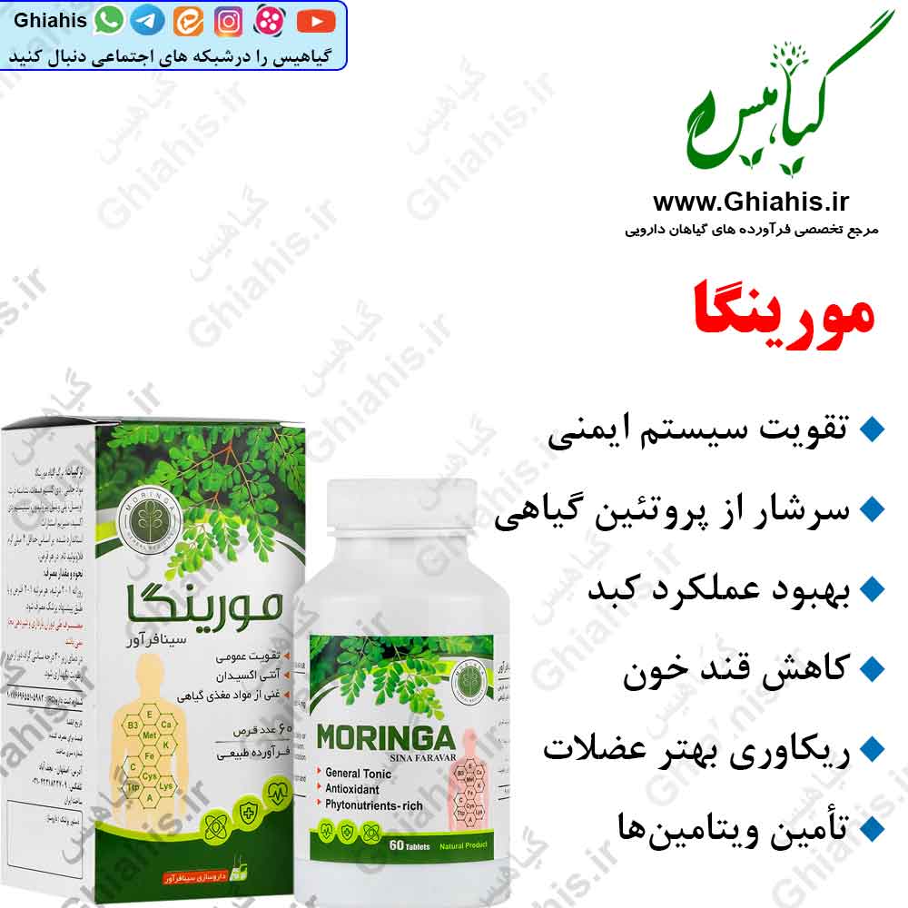 مورینگا