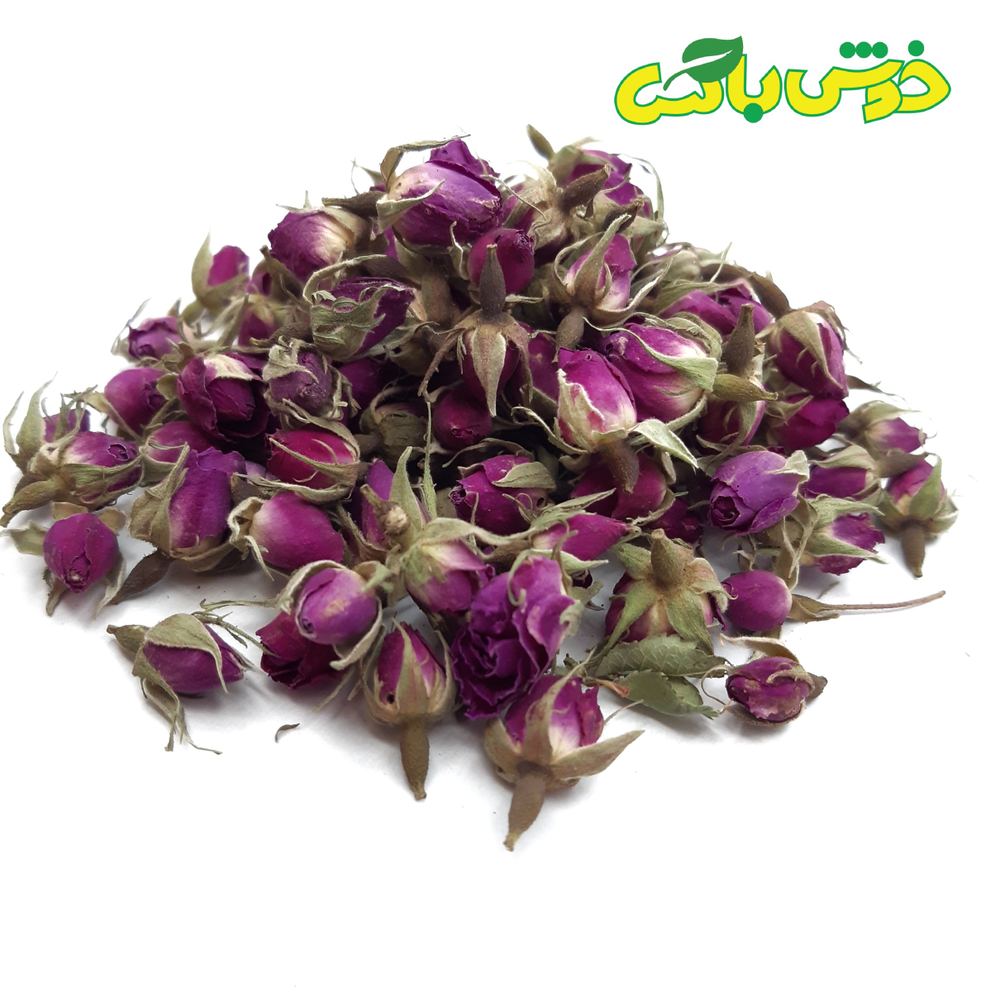 غنچه گل محمدی
