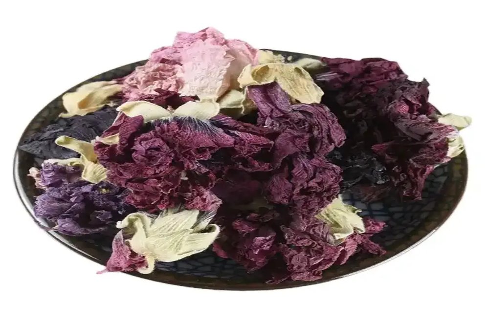 گل ختمی رنگی