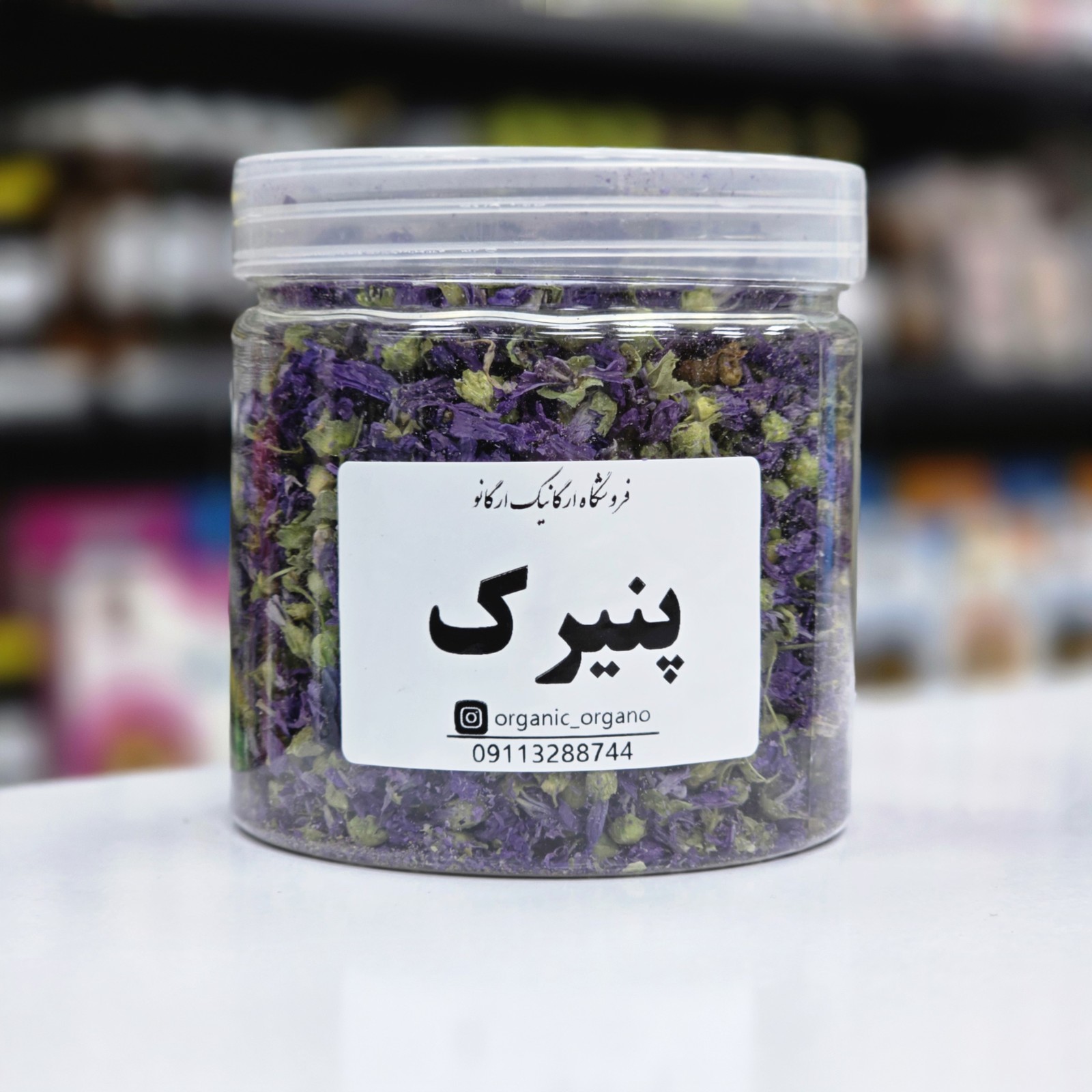 گل پنیرک کرمان