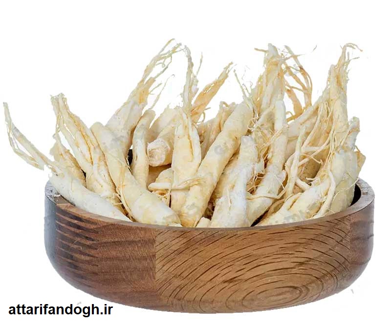 جینسینگ سفید اصلی