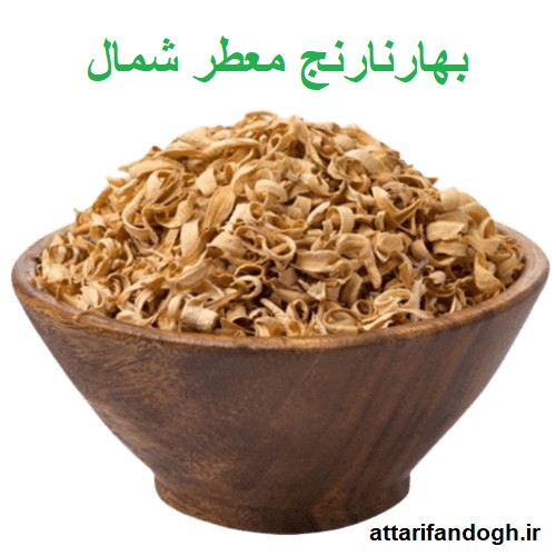 بهار نارنج معطر شمال