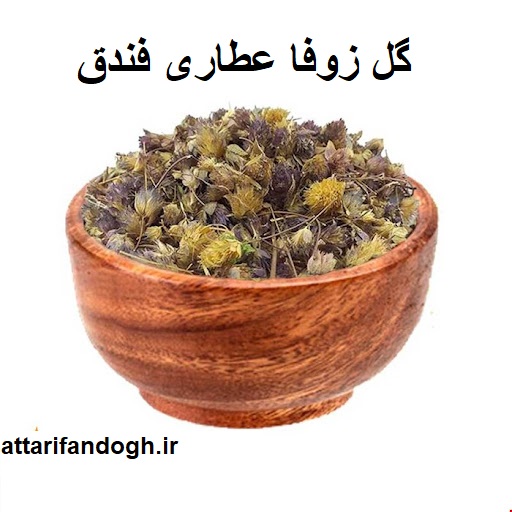 گل زوفا اعلاء عطاری فندق
