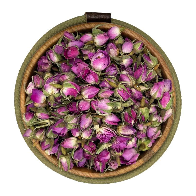 غنچه گل محمدی داراب شیراز