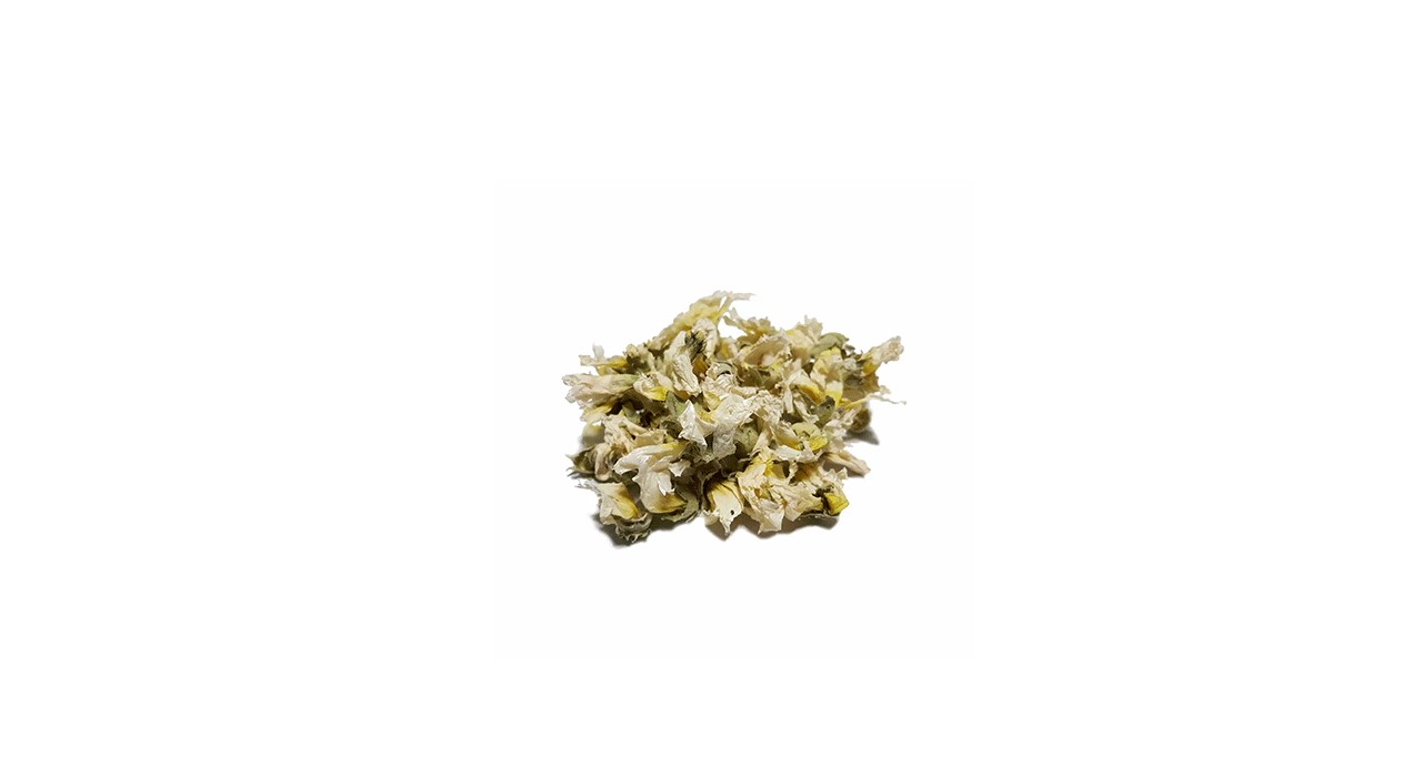 گل ختمی سفید