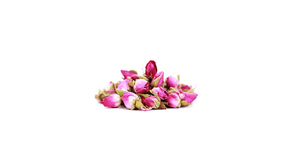 غنچه گل‌محمدی