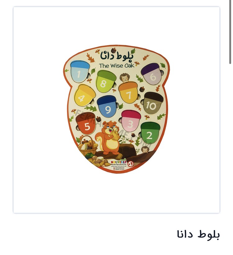 بلوط دانا