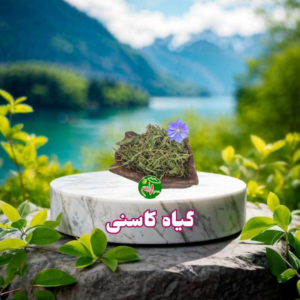 گیاه کاسنی