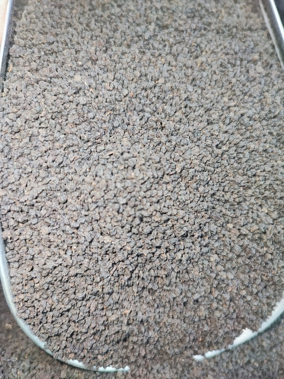 چای کله مورچه کنیا سیاره