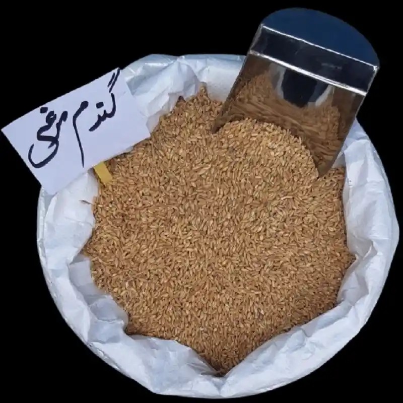 گندم مرغی فله