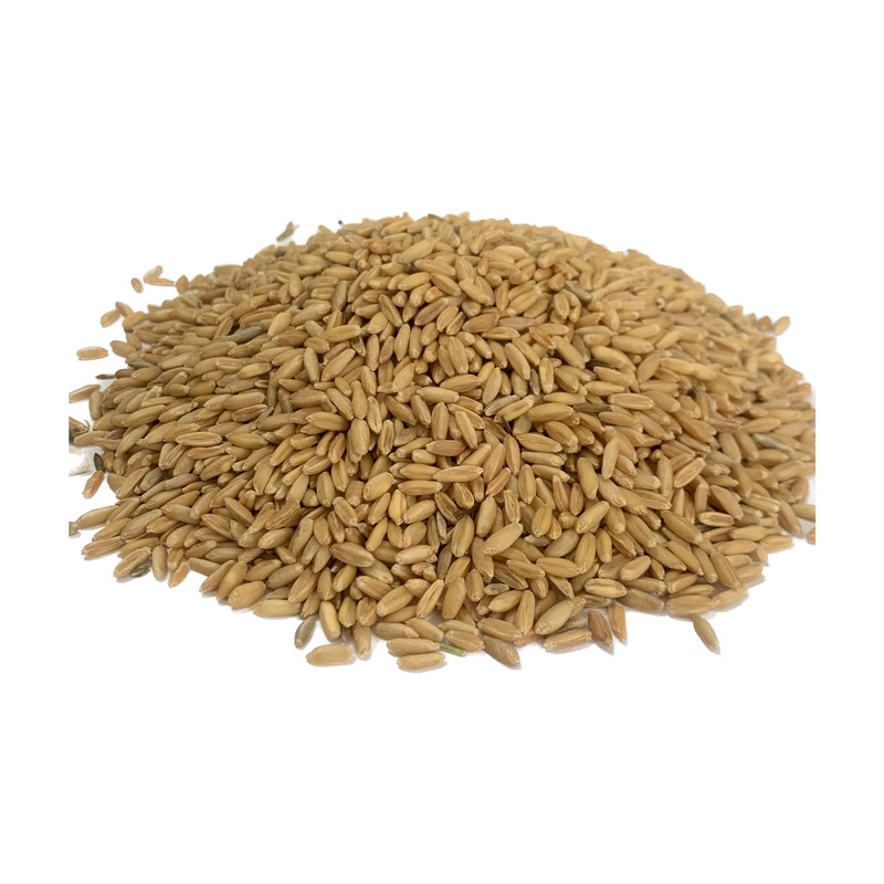 گندم مرغی 5 کیلویی