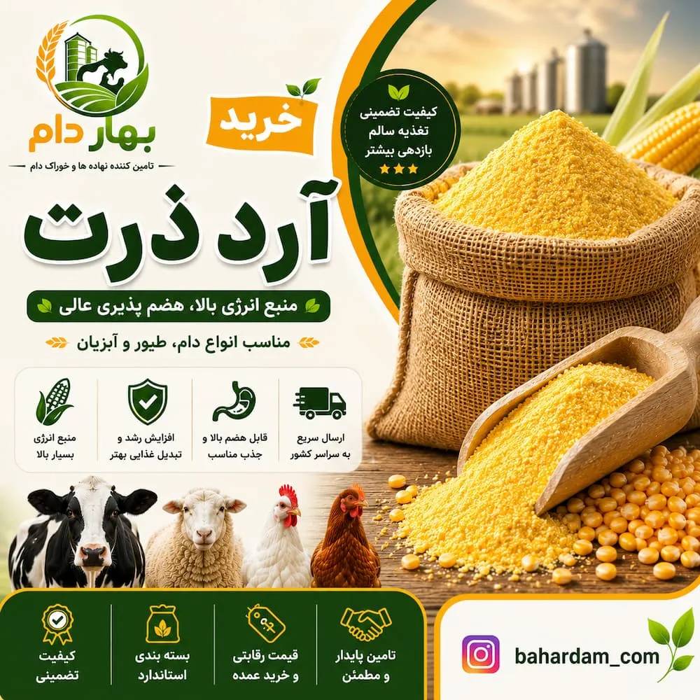 آرد ذرت دامی