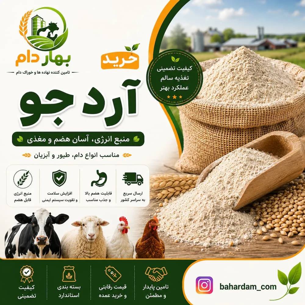 آرد جو دامی