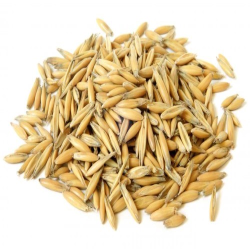 جو دو سر فله