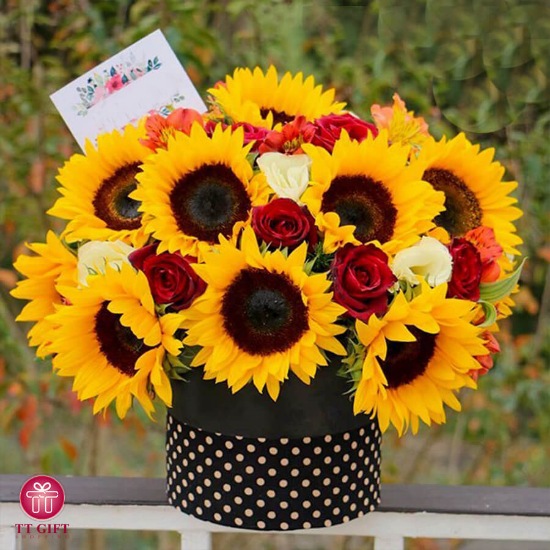 Adonis Sunflower and Red Rose Flower Box