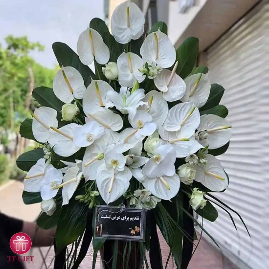 Haniyeh Funeral Flower Cup of White Orchid and Anthurium