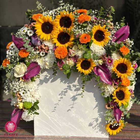 Houyar Economic Sunflower Colorful Mixed Flower Box