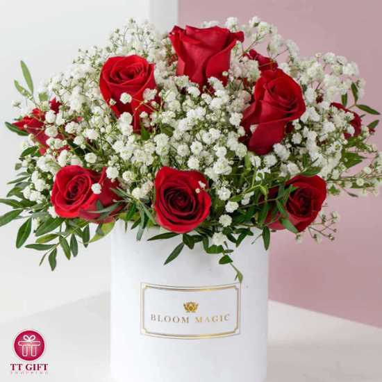 Soudeh Red Rose and Gypsophila Flower Box